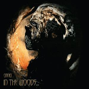 IN THE WOODS… – Omnio