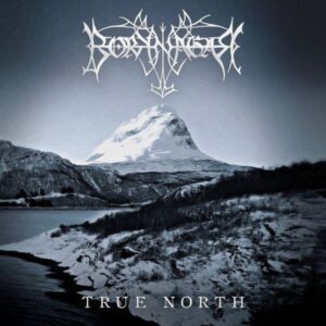 BORKNAGAR – True North